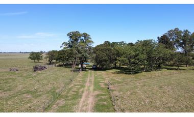 Campo en venta en Brandsen. 20 Has mixto
