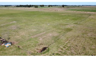 Campo en venta en Brandsen. 20 Has mixto