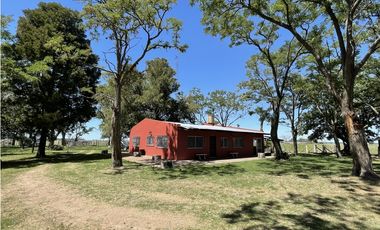 Campo en venta en Brandsen. 20 Has mixto