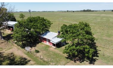 Campo en venta en Brandsen. 20 Has mixto