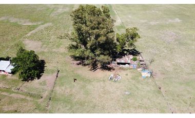 Campo en venta en Brandsen. 20 Has mixto