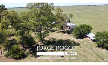 Campo en venta en Brandsen. 20 Has mixto