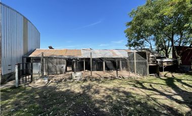 Campo en venta en Brandsen. 20 Has mixto