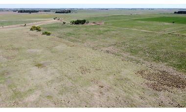 Campo en venta en Brandsen. 20 Has mixto