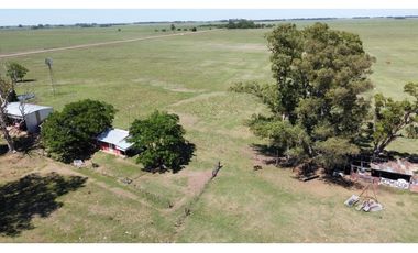 Campo en venta en Brandsen. 20 Has mixto
