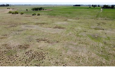 Campo en venta en Brandsen. 20 Has mixto
