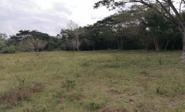 Terreno en venta Mérida Yucatán, San Joaquín Campeche