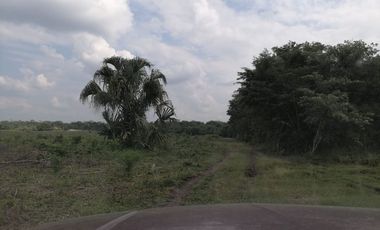 Terreno en venta Mérida Yucatán, San Joaquín Campeche