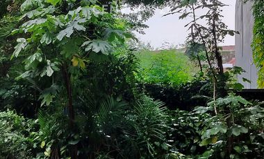 Dijual Tanah Kavling Di Daerah Elite Menteng Jakarta Pusat