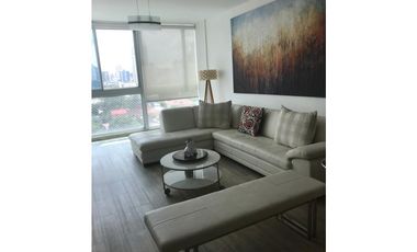 ALQUILER DE APARTAMENTO EN SAN FRANCISCO, PH INFITY