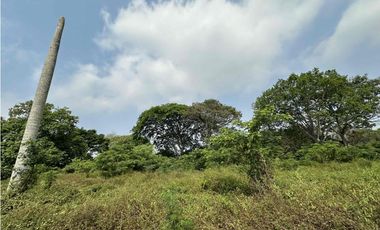 Terreno Industrial ideal para Empresas, Bodegas o Patio de maniobras