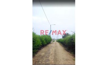 Vendo Terreno En Villa La Palma