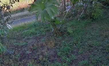 Parcela en Venta en Parcela Hijuela