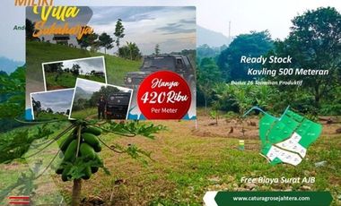 Tanah Kebun Produktif Seluas 500 Pesona Villa Sukaharja