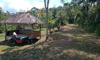 Tanah Kebun Produktif Seluas 500 Pesona Villa Sukaharja