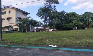 CITATION Homes Vacant Lot for Sale Meycuayan Bulacan