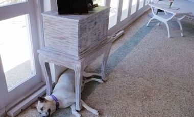 Hotel Reasort dekat Sirkuit Balap Mandalika , Lombok