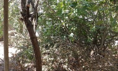 Casa 3 Dormitorios Arboles frutales en Sargento Aldea