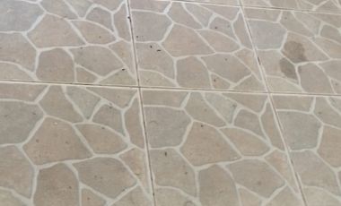 Casa 3 Dormitorios Arboles frutales en Sargento Aldea