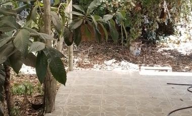 Casa 3 Dormitorios Arboles frutales en Sargento Aldea
