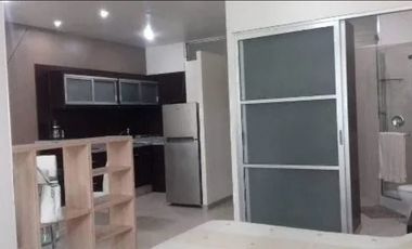 RENA Triumph Towers Loft Amueblado,  Vig, Gym,  Elvador, Alb, Restaurante