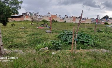 Se vende lote en la pampa, altura permitida 10 pisos  apto para construir vivienda