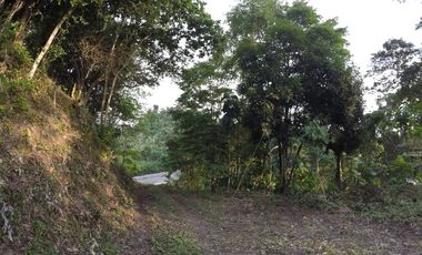 Se Vende Terreno para Desarrollar en Zona Rural, Cerca del Mar y Frente al Mar en Caimito