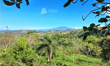 VENDO FINCA DE 12 HECTAREAS REFORESTADA