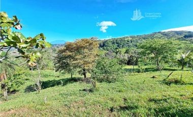 VENDO FINCA DE 12 HECTAREAS REFORESTADA