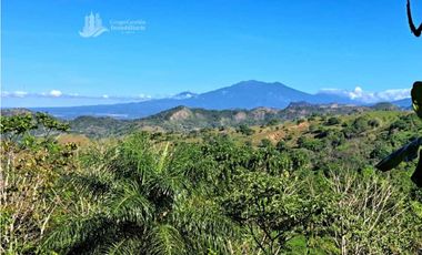 VENDO FINCA DE 12 HECTAREAS REFORESTADA