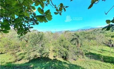 VENDO FINCA DE 12 HECTAREAS REFORESTADA