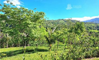 VENDO FINCA DE 12 HECTAREAS REFORESTADA