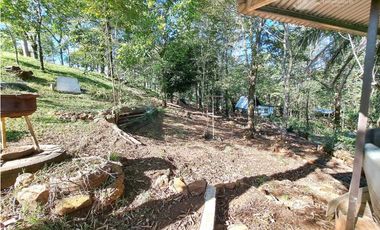 VENDO FINCA DE 12 HECTAREAS REFORESTADA