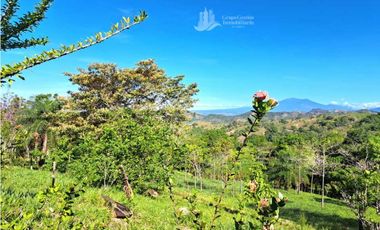 VENDO FINCA DE 12 HECTAREAS REFORESTADA