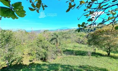 VENDO FINCA DE 12 HECTAREAS REFORESTADA