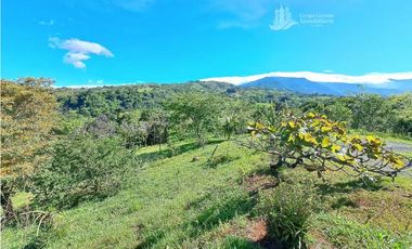 VENDO FINCA DE 12 HECTAREAS REFORESTADA