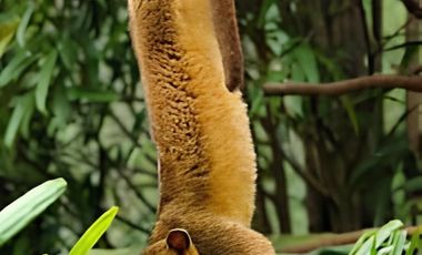 Terrenos en Venta en Fincas de Mococha en Mocochá