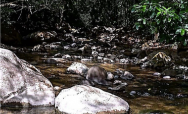 VENDO TERRENO/ LOTE PARA DESARROLLO EN VALLE DE ANTON (6)