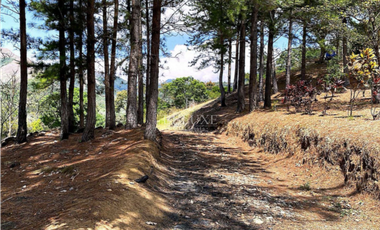 VENDO TERRENO/ LOTE PARA DESARROLLO EN VALLE DE ANTON (6)