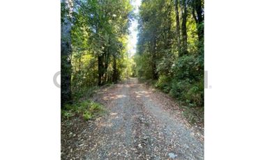 Increíble vista 2 parcelas en ribera norte del Lago Villarrica