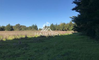 Agrícola en Venta en A seis Km de Santa Fé y dos Km de Millantú