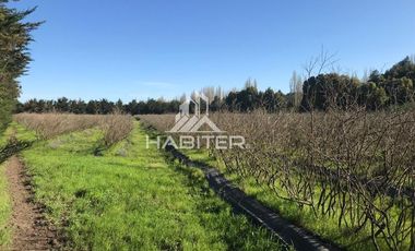 Agrícola en Venta en A seis Km de Santa Fé y dos Km de Millantú