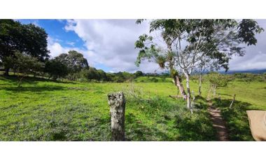 VENDO FINCA DE 195 HECTAREAS EN COORDILLERA CON AGUA VIVA