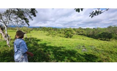 VENDO FINCA DE 195 HECTAREAS EN COORDILLERA CON AGUA VIVA