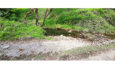VENDO FINCA DE 195 HECTAREAS EN COORDILLERA CON AGUA VIVA