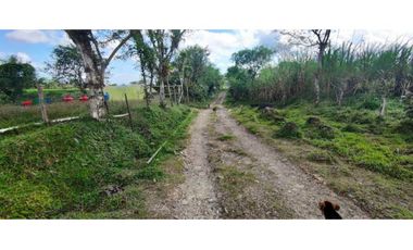 VENDO FINCA DE 195 HECTAREAS EN COORDILLERA CON AGUA VIVA