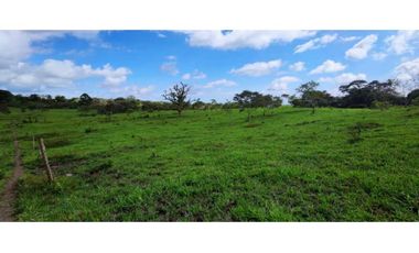 VENDO FINCA DE 195 HECTAREAS EN COORDILLERA CON AGUA VIVA