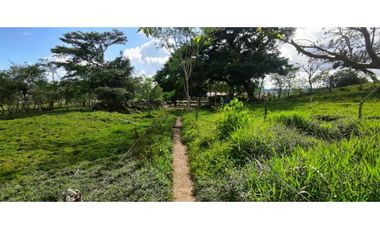 VENDO FINCA DE 195 HECTAREAS EN COORDILLERA CON AGUA VIVA