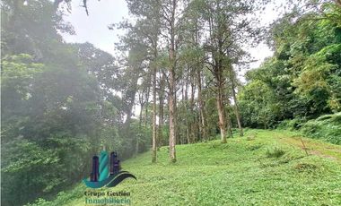 VENDO FINCA DE 195 HECTAREAS EN COORDILLERA CON AGUA VIVA