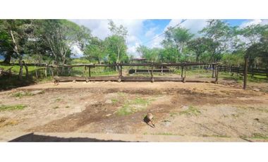 VENDO FINCA DE 195 HECTAREAS EN COORDILLERA CON AGUA VIVA